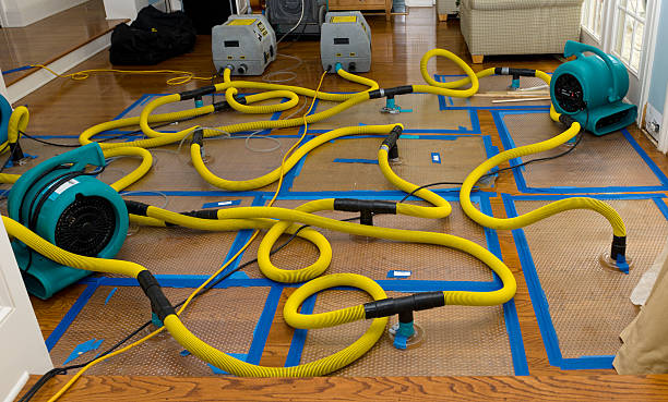 Professional Storm Water Damage Restoration technician working in Kanaranzi, MN